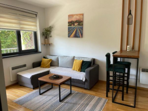 Zlatni Bor Apartment